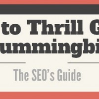 The SEO’s Guide to Google Hummingbird [Search Engine Journal]